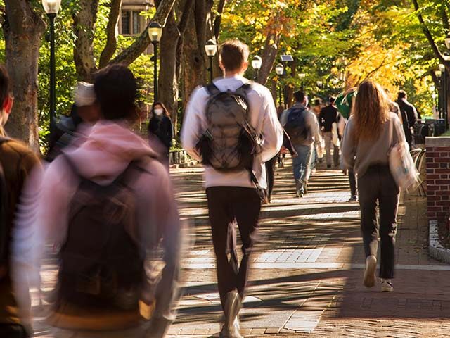 college university students