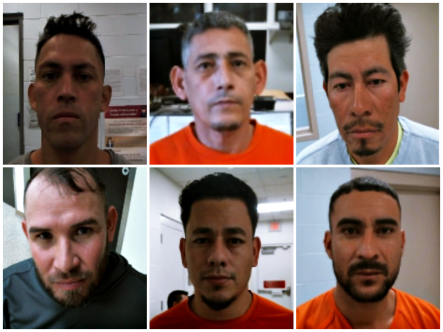 Immigration and Customs Enforcement