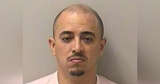 ICE Asks Sanctuary Illinois Not to Release Illegal Migrant Charged with Raping Child