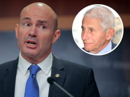 Mike Lee, Anthony Fauci