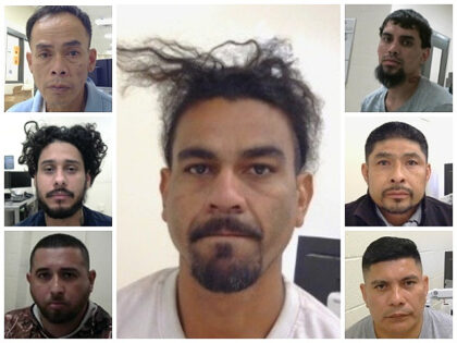 260 Criminal Aliens Arrested in Houston in 1st Half of July (U.S. Immigration and Customs