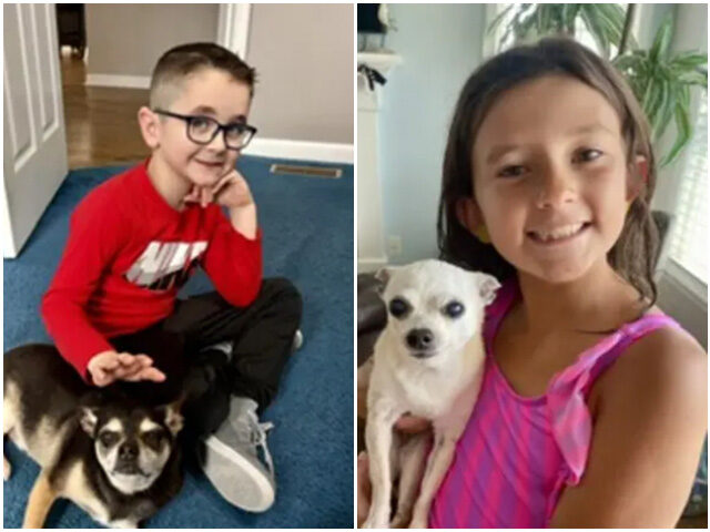 Siggy and Mya https://www.riggsfuneralhome.com/obituaries/Mya-Bella-Golabek?