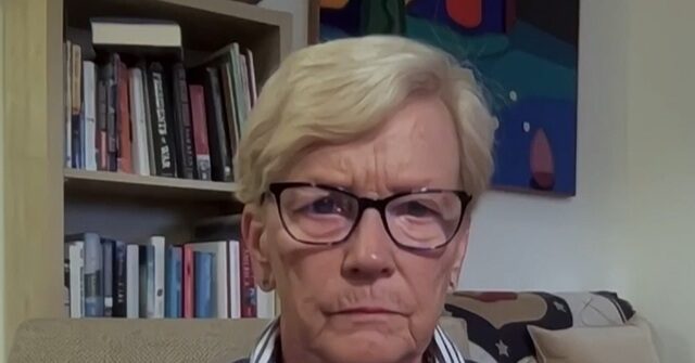 Dem Rep. Pingree: Maine ICE Shooting Needs Investigation, ‘Is a Case of ICE Having Way Too Much Money'