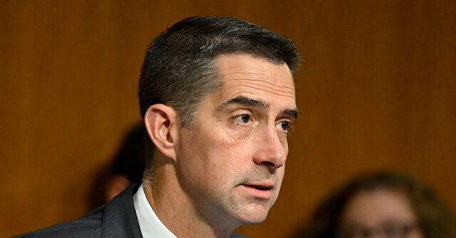 Image for 'I Apologize to Lunatics for Comparing That Guy to Them'