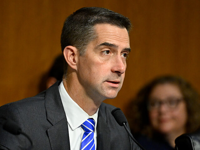 Senator Tom Cotton, a Republican from Arkansas and chairman of the Senate Intelligence Com