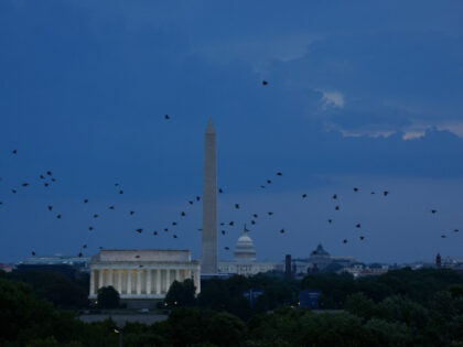 Birds fly over Washington, DC as thunderstorms sweep through the area and force evacuation