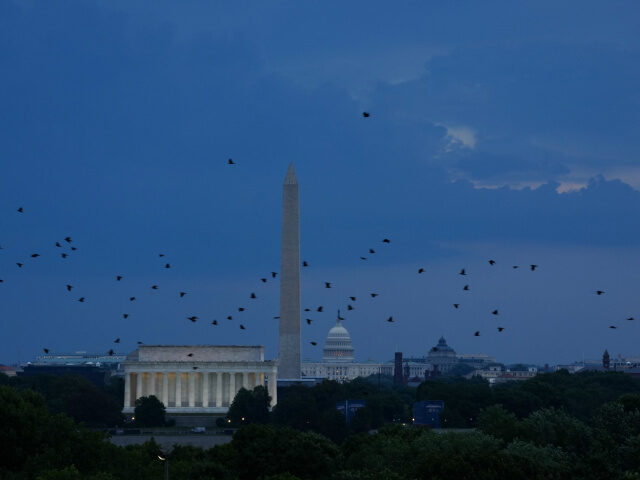Storm over DC Birds fly over Washington, DC as thunderstorms sweep through the area and force evacuation