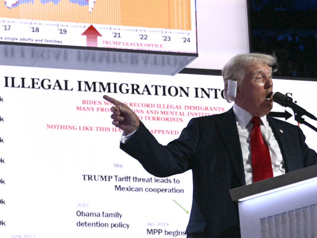 US former President and 2024 Republican presidential candidate Donald Trump gestures as he