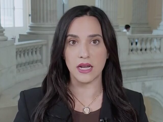 Dem Rep. Ansari: Todd Blanche ‘Belongs in Jail’