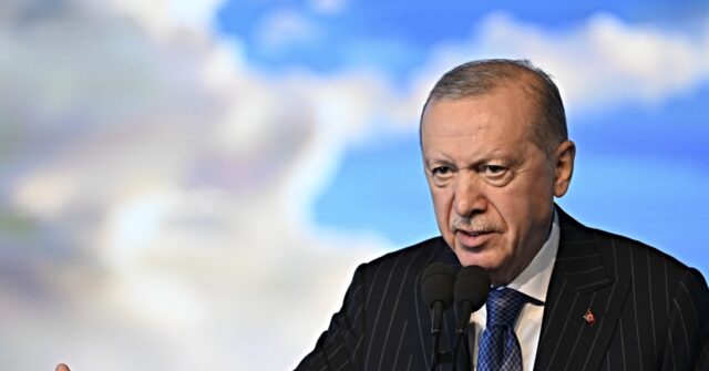 Not Funny: Erdogan Has Turkish Comedian Arrested for 'Insulting' Him and Islam