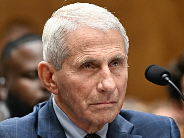 fauci pleads Dr. Anthony Fauci testifies during a Senate Homeland Security and Governmental Affairs com