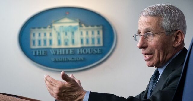 Watch Live: Anthony Fauci Testifies Before the Senate