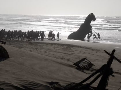 odyssey-horse-beach