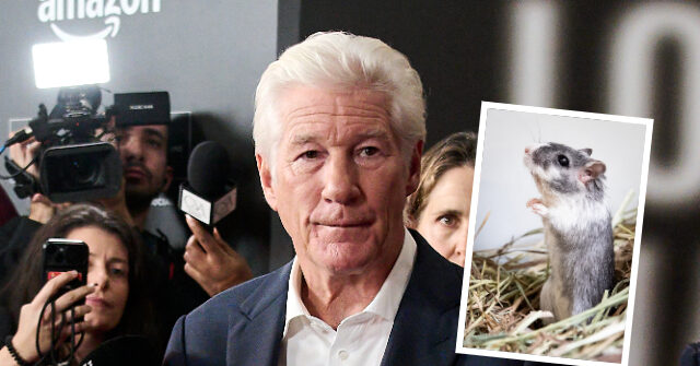 White House Comms Chief Steven Cheung Trolls Richard Gere as 'Guy That May Have Put a Gerbil Up His Ass'