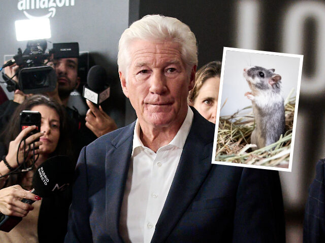 White House Comms Chief Steven Cheung Trolls Richard Gere as ‘Guy That May Have Put a Gerbil