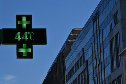 Ozone levels soared during the punishing heatwave that baked Europe in June, a new report