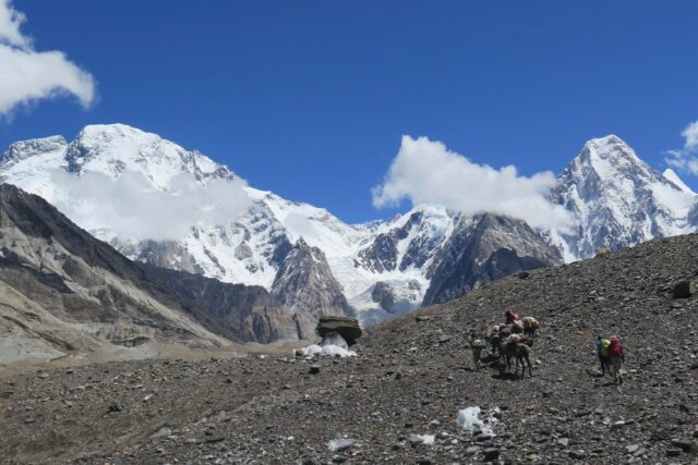 Porters and foreign trekkers move with mules towards the Concordia camping site in front o