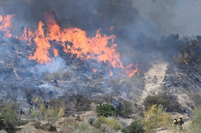 The wildfire broke out on Thursday in the Andalusia region of southern Spain