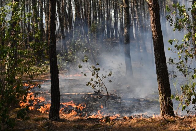 France Wildfires The Associated Press