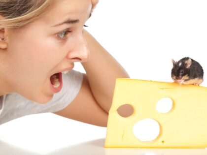 woman shocked by mouse eating cheese