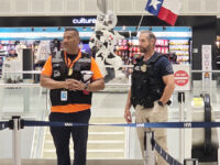 Never Again? Airlines Obstruct ICE Crackdown on the Very Visa Overstays That Enabled 9/11 Hijackers