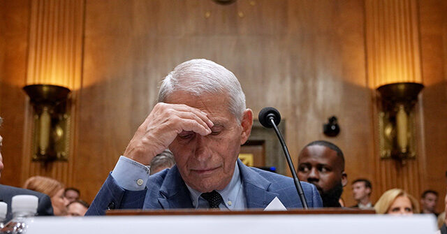 Fauci's Phone Reveals Official at NIAID's Vaccine Research Center Warned 'Avoid Vaccination in First Trimester' in 2021