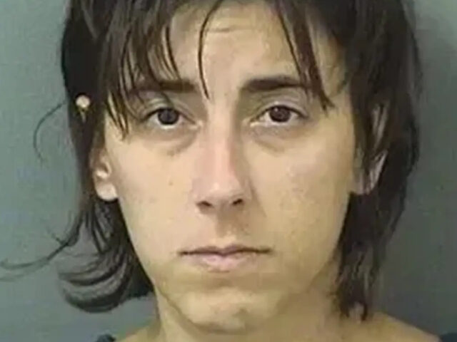 VIDEO — Police: Woman Wrecks Gate Near Trump’s Mar-a-Lago Home During Wild Chase Involv