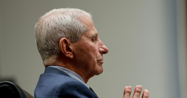 Anthony Fauci's Lawyer: Contempt of Congress Vote a 'Crude Political Stunt'