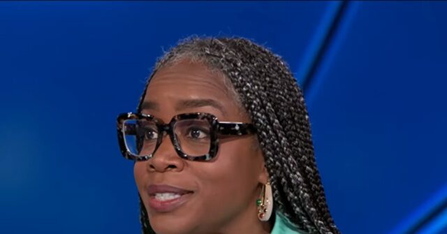 Boston Globe’s Atkins Stohr: Dems Trying for ‘Big Tent’ Including Issues of Woke 1.0