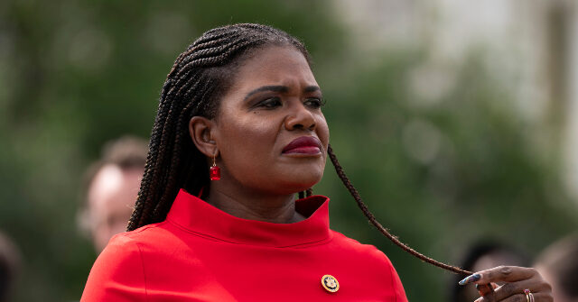Cori Bush Wants 'Abortion Rights,' 'Trans Rights' in Constitution