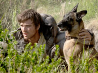 Nolte: ‘Dog Stars’ Is Latest Expensive Flop for Disney Grooming Syndicate