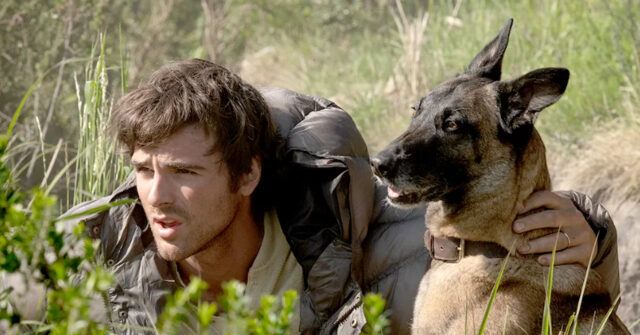 Nolte: ‘Dog Stars’ Is Latest Expensive Flop for Disney Grooming Syndicate
