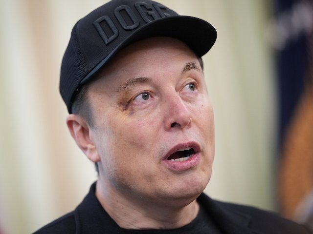 ‘Status-Oriented Animals’: Michael Saylor Disputes Elon Musk’s Prediction that AI