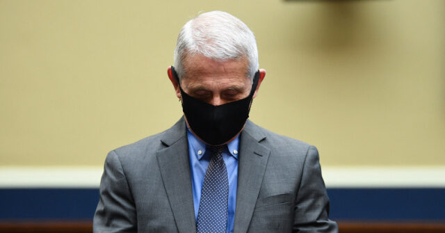 Exclusive: Senate Panel Secures Forensic Copy of Fauci’s Cellphone – What Is He Hiding?