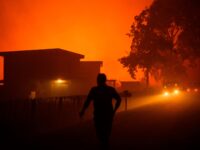 France Wildfires: Migrant With Deportation Order Charged with Robbing Evacuated Homes