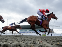 Nolte: 52 Percent of Gen Z Morons Have Moved Money from Investments to Sports Betting