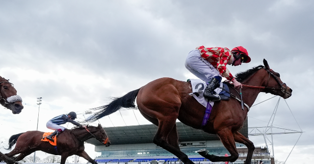 Nolte: 52 Percent of Gen Z Morons Have Moved Money From Investments to Sports Betting