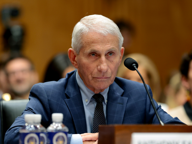 Senate Panel Votes 8-5 to Hold Anthony Fauci in Contempt of Congress