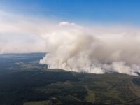 Hundreds Forced to Evacuate Amid Massive Wildfire in Belgium
