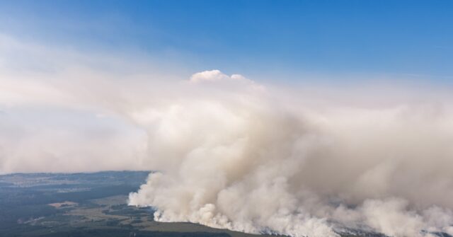 Hundreds Forced to Evacuate Amid Massive Wildfire in Belgium