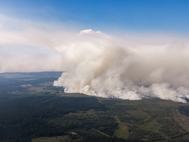 Hundreds Forced to Evacuate Amid Massive Wildfire in Belgium