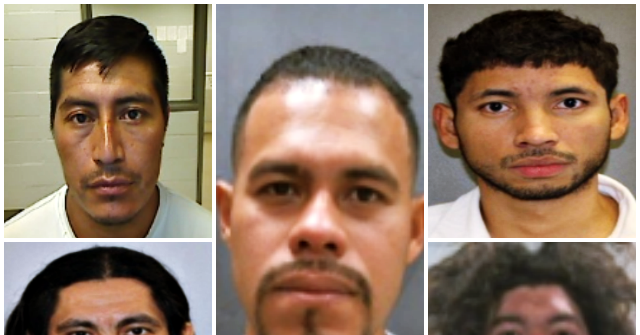 ICE Deports Illegal Alien Gang Members Convicted of Homicide, Rape, Drunk Driving