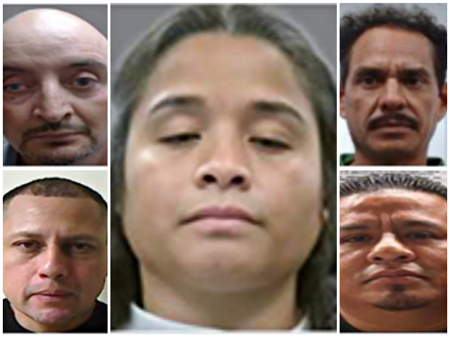 Immigration and Customs Enforcement