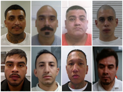 ICE Deports Illegal Alien Gang Members Convicted of Manslaughter, Kidnapping, Attempted Rape