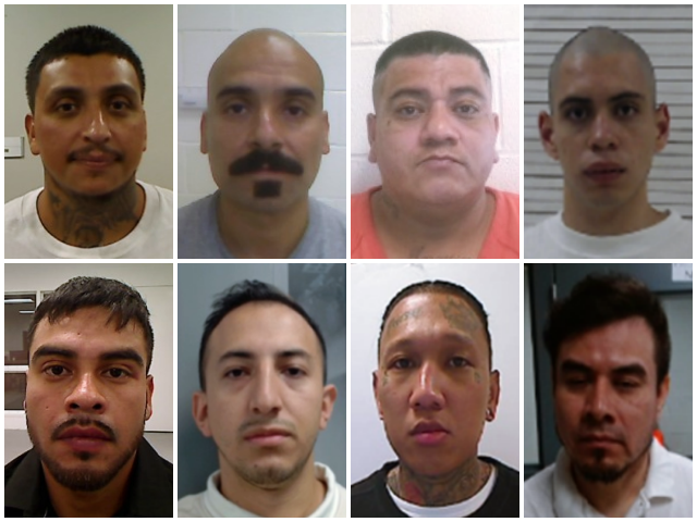 Immigration and Customs Enforcement