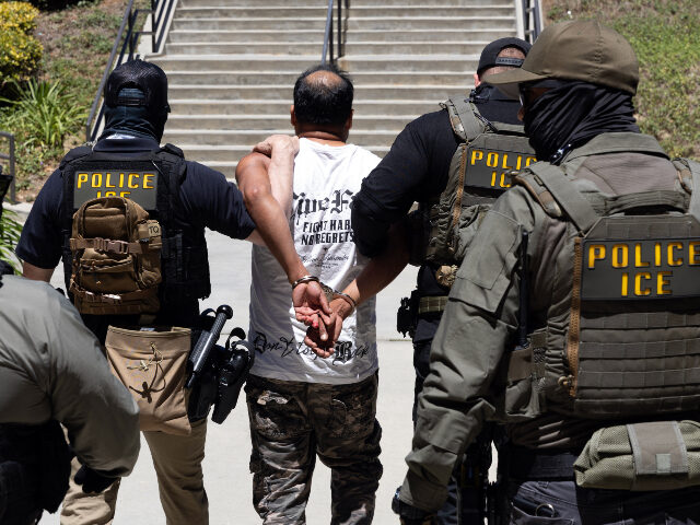 Nolte: ICE to Receive Gloves that Deliver Electric Shock to De-Escalate Confrontations