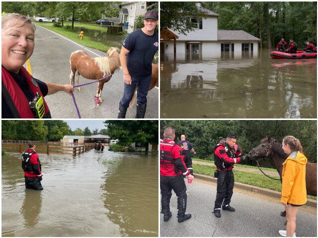 VIDEO — Indiana: 100 People, 46 Pets, and 20 Horses Rescued from Devastating Floods