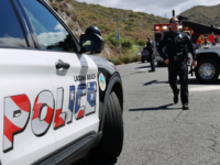 Hero Sheepdog Assists First Responders with Helicopter Rescue in California