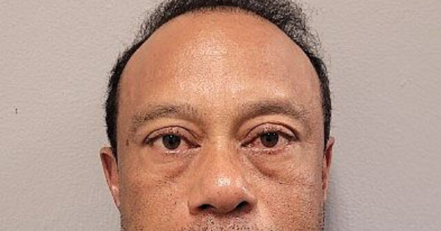 Some Fans Concerned About Tiger Woods After Rare Video Appearance