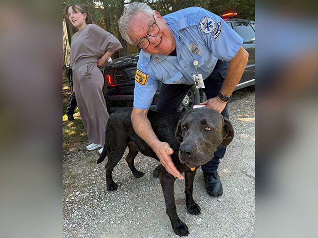 PHOTOS — Kansas Service Dog Stayed with Missing Three-Year-Old Until They Were Rescued: ‘Th